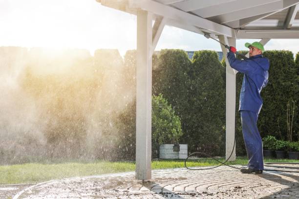 Best Paint Preparation  in Alton, IA
