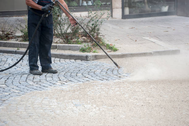 Best Driveway Pressure Washing  in Alton, IA